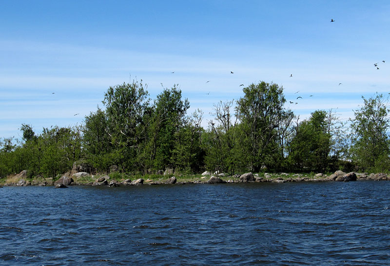 Kendräväli Kendräväli