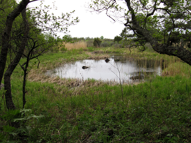 L&auml;nsilampare