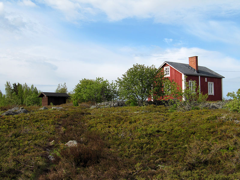 Biologinen asema