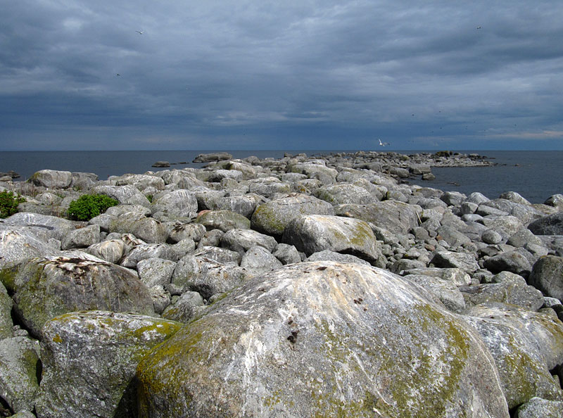 Ruokkiluoto