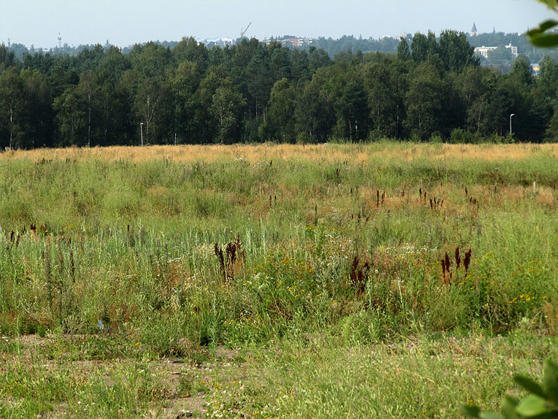 Ruderaatti Ruderaatti