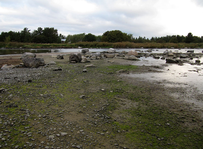Domarkobban laguuni