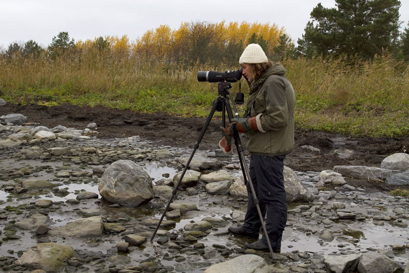 BRH, (C) Janne Wessberg