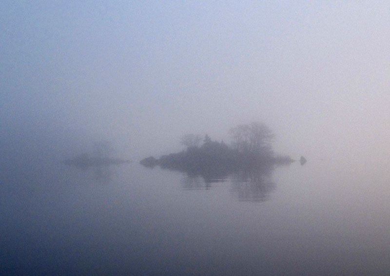 Saari sumussa Saari sumussa