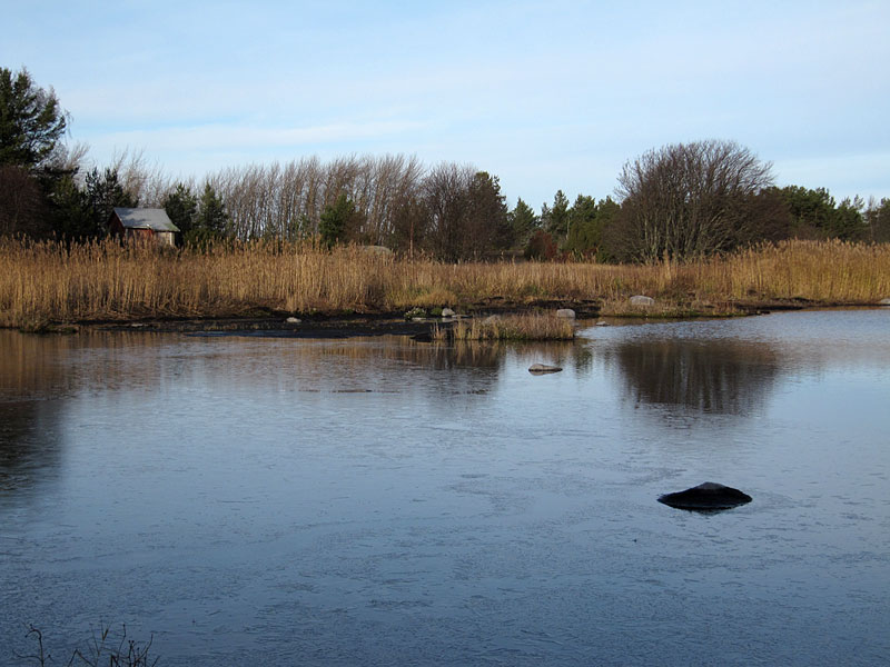 Laguuni ja m&ouml;kki