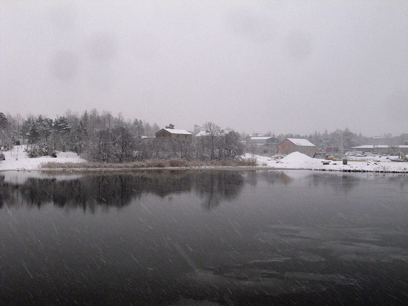 Linnun paikka