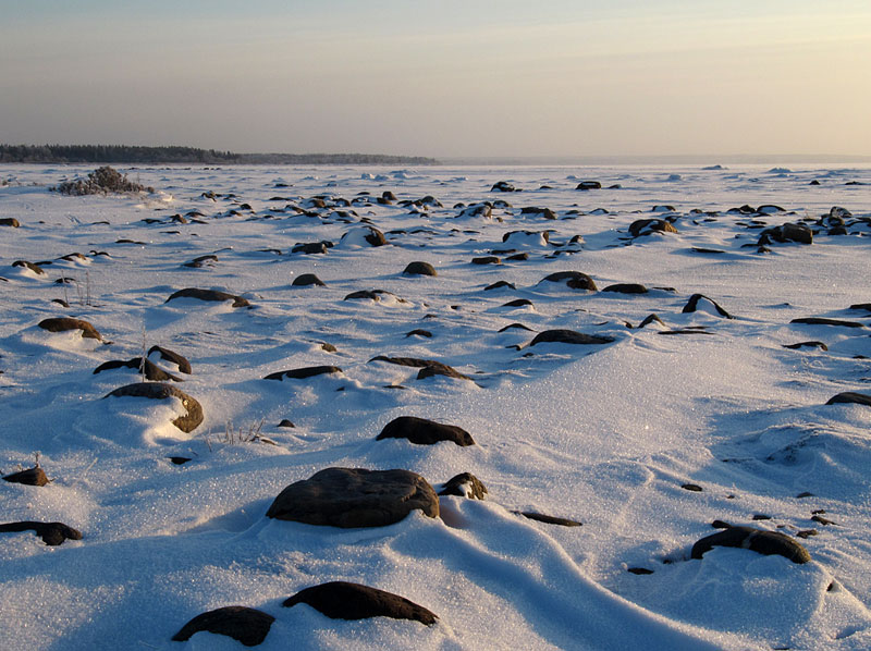 Eteläkärki Eteläkärki
