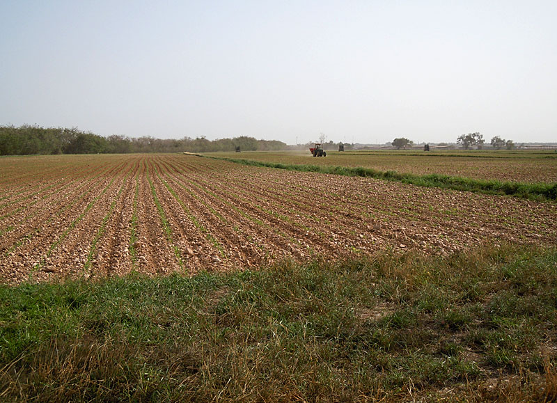 Jarziz farm Jarziz farm