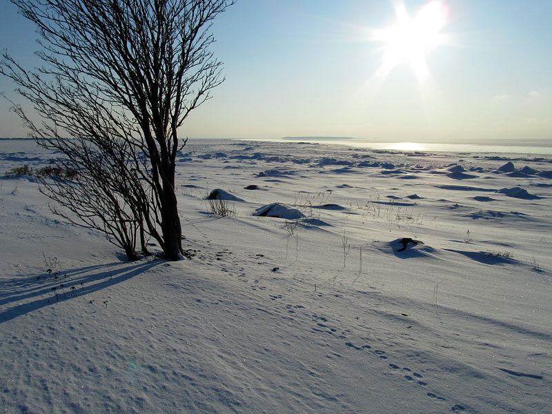 Santakari ja Säppi Santakari ja Säppi