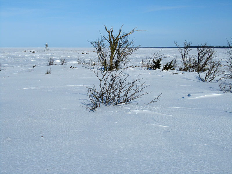 Pohjoiskärki Pohjoiskärki