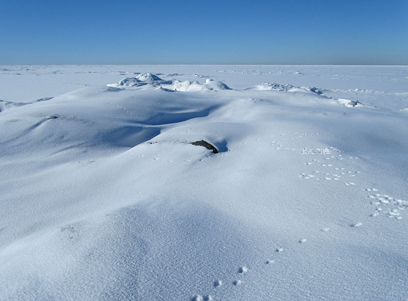 Pohjankalliot