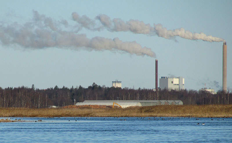 Vesilintuja ja tehtaat Vesilintuja ja tehtaat