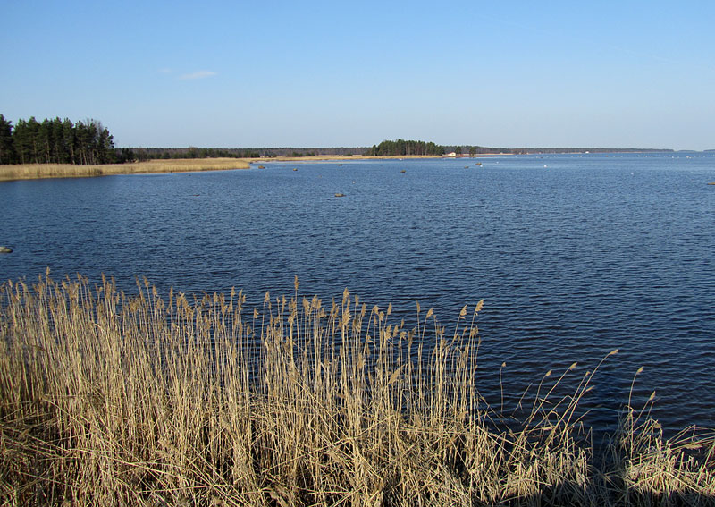 Kalarannasta l&auml;nteen