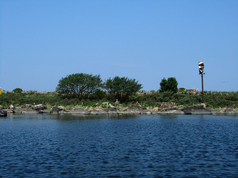 Hylkiriutta
