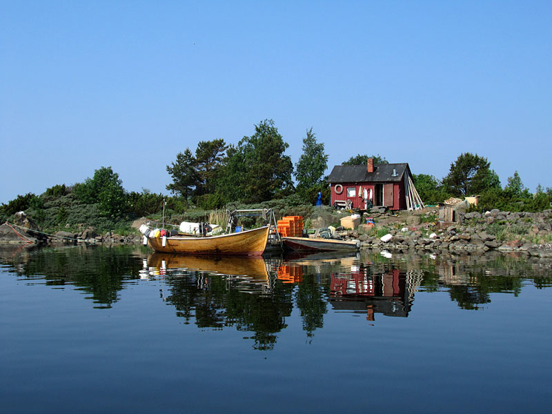 Kasakat
