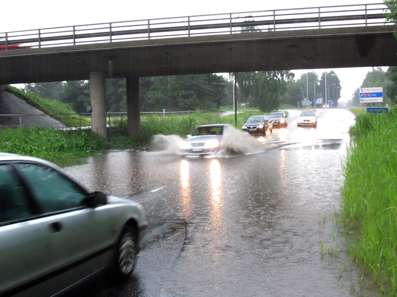 Professorintien alikulku