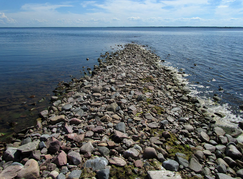 Ykspihlajan särkkä Ykspihlajan särkkä