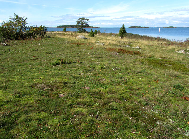 Puolivälinkari Puolivälinkari
