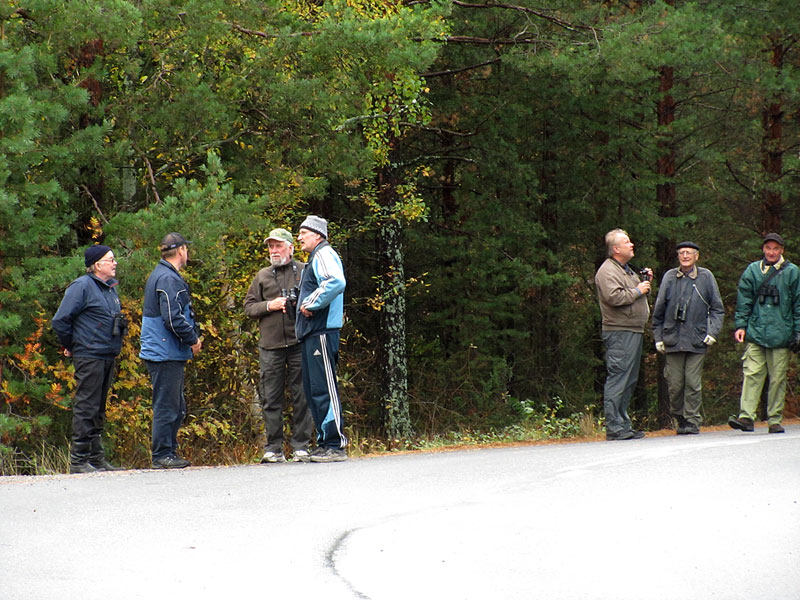 Torstain porukkaa Torstain porukkaa