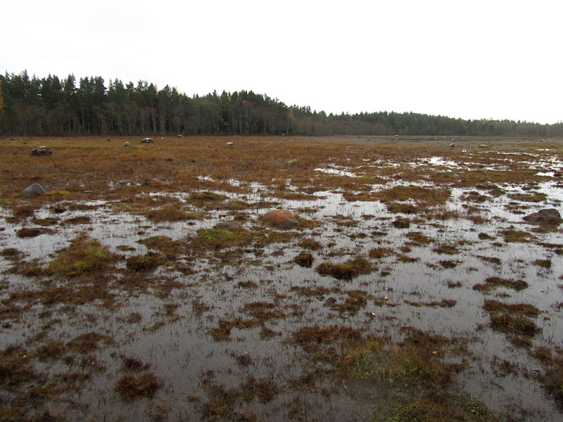 Uutpakanlahti Uutpakanlahti