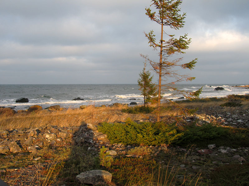 Maanantain staijjipaikka