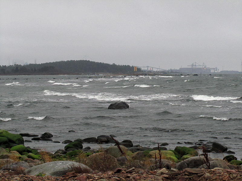 Suuri valliriutta