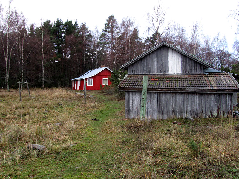 Karinnokka