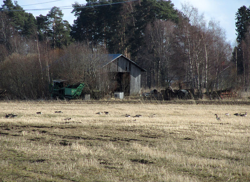 S&ouml;dermanintie