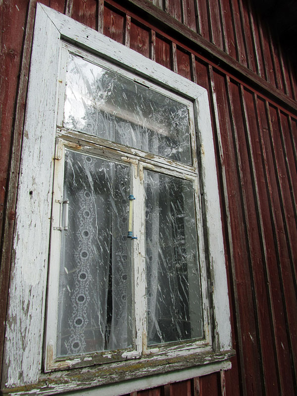 Ikkuna ja merimetson ulostetta