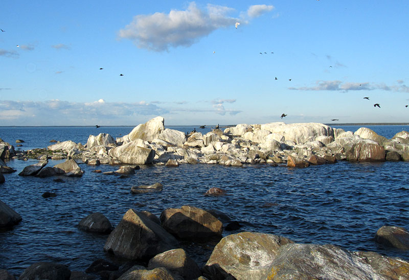 Itäkärjen pesät Itäkärjen pesät