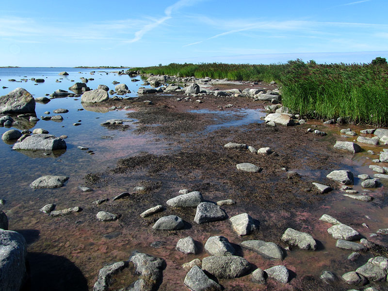 Haurut, Fälgrund Haurut, Fälgrund