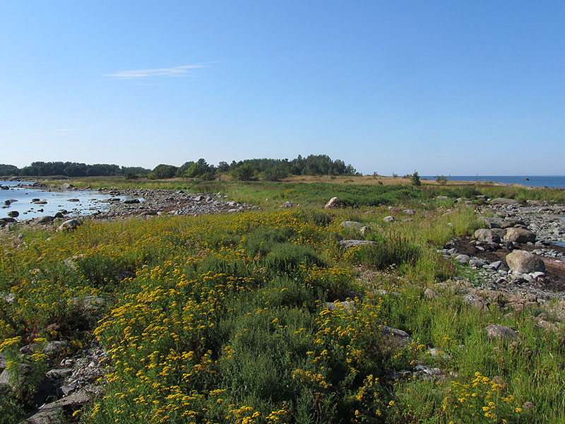 Domarkobban, Pohjoiskarki Domarkobban, Pohjoiskarki