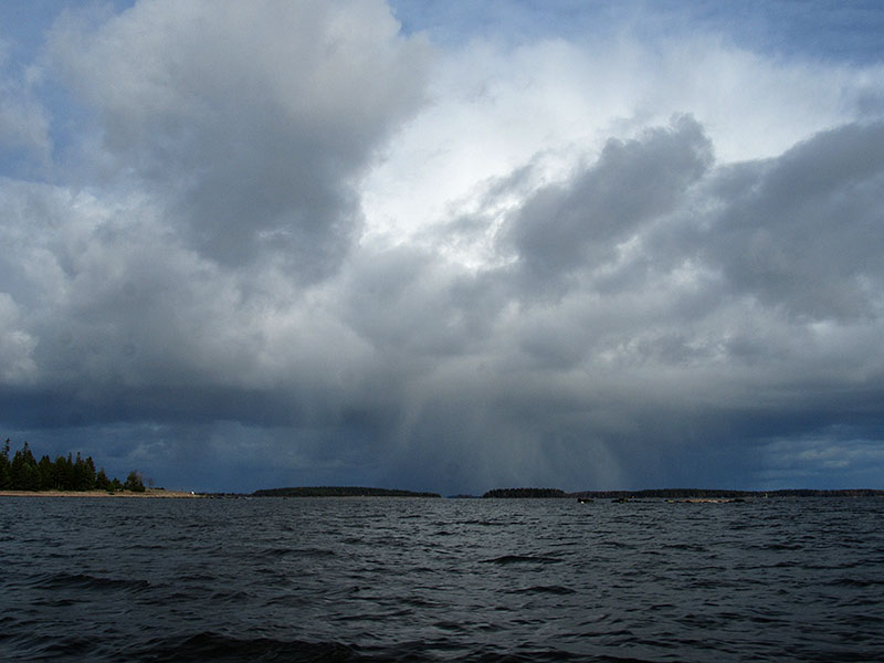 Lumikuuroja Lumikuuroja