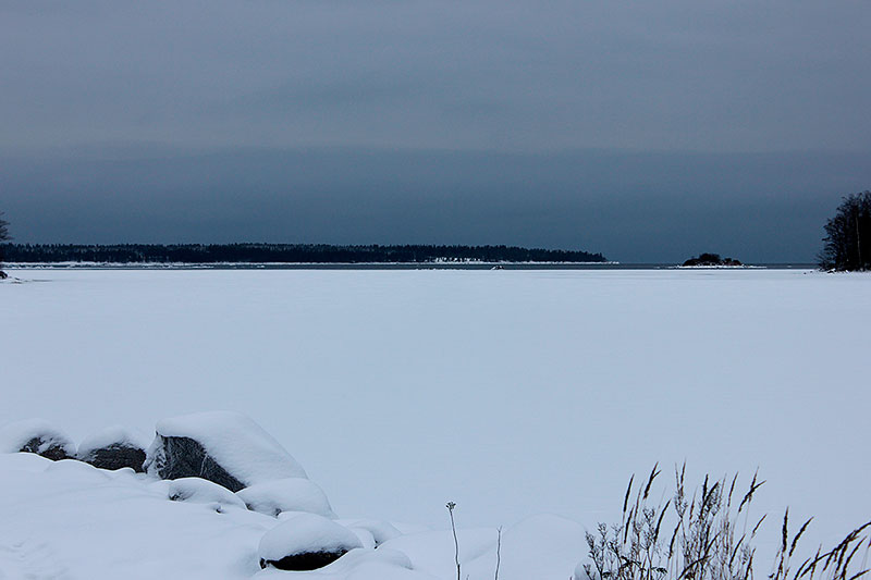 Avoveden reuna Anttooran kärjessä Avoveden reuna Anttooran kärjessä
