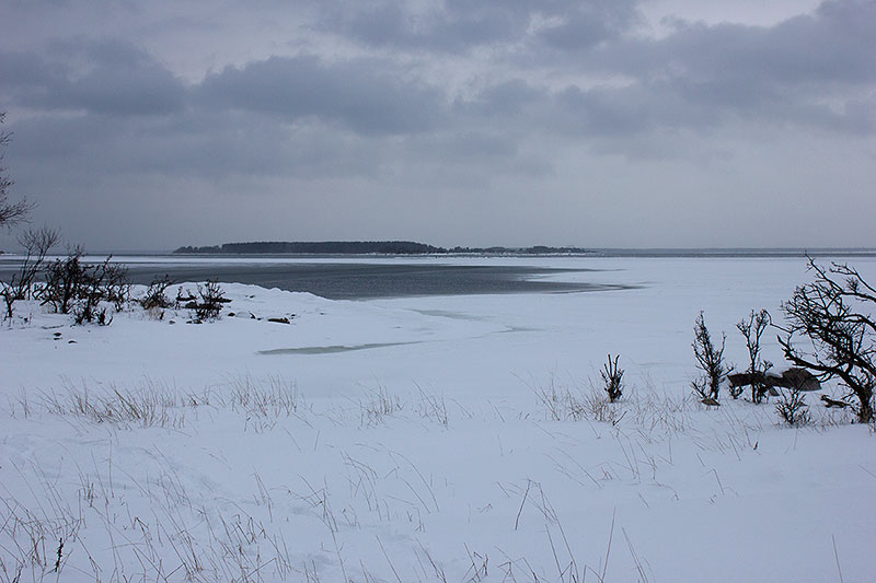 Kuuminaisten Hevoskari