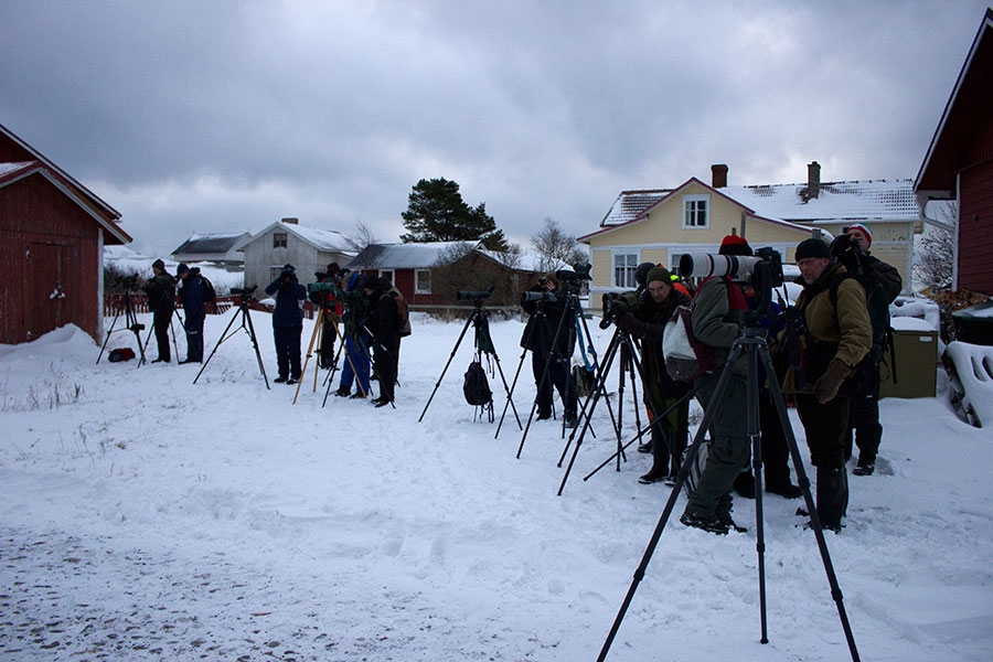 Kolmannen aallon bongariporukka