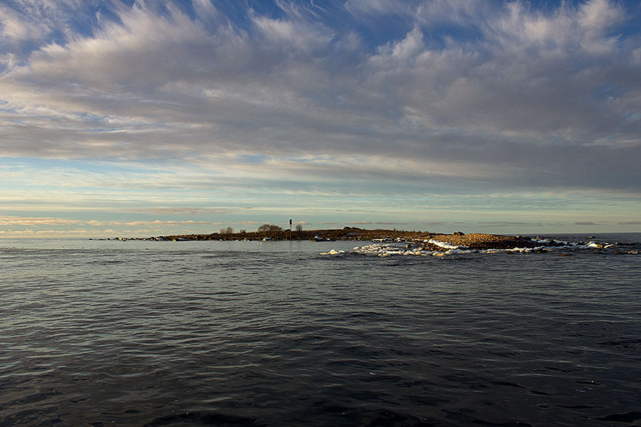 Hylkiriutta Hylkiriutta