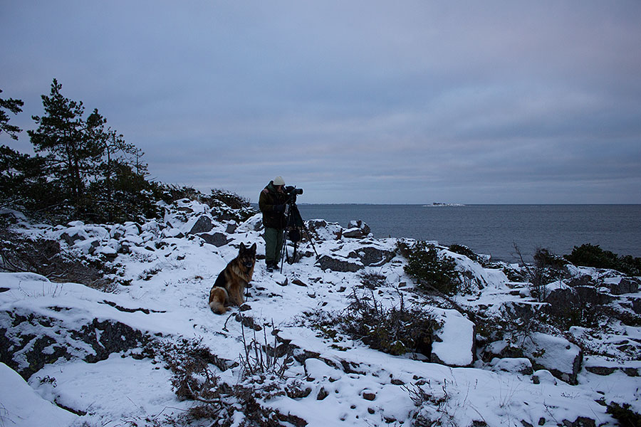 Aamustaijji, Lotte & BRH Aamustaijji, Lotte & BRH