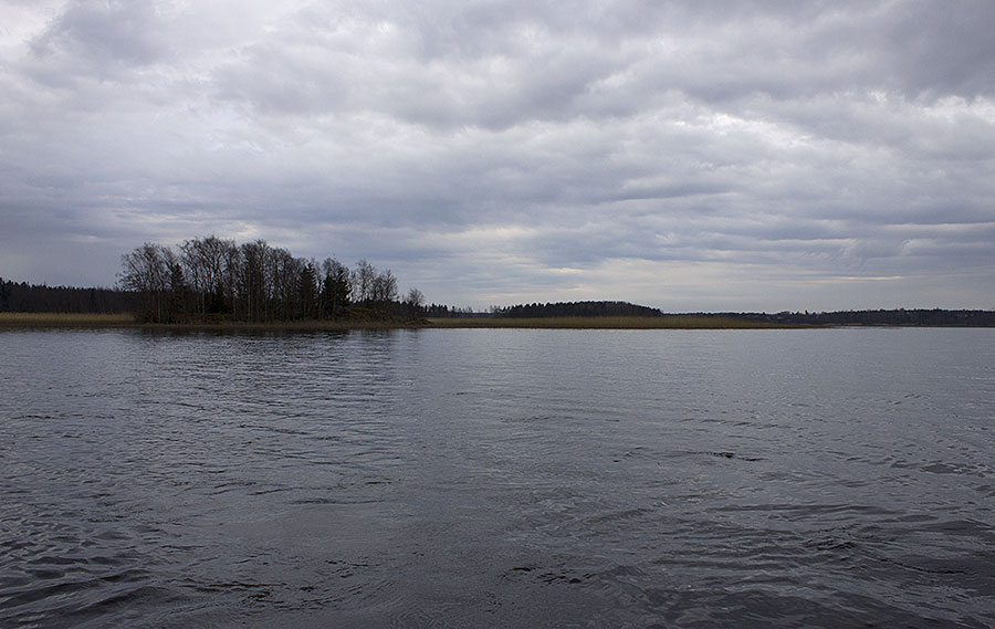 Järven itärantaa Järven itärantaa