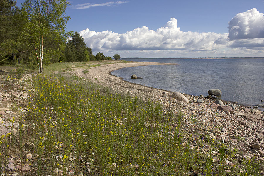 Kallioluodon it&auml;ranta