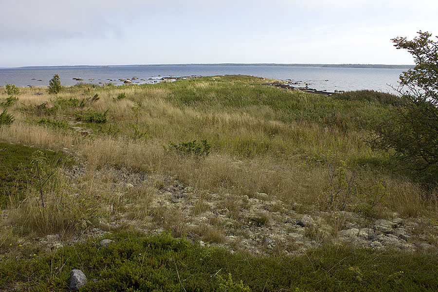 Domarkobban, pohjoisk&auml;rki