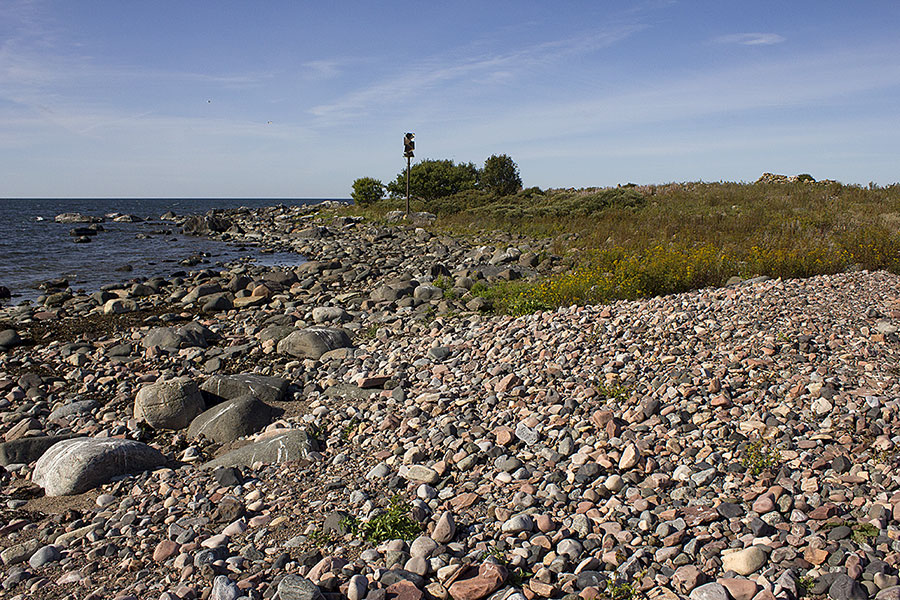 Hylkiriutta Hylkiriutta
