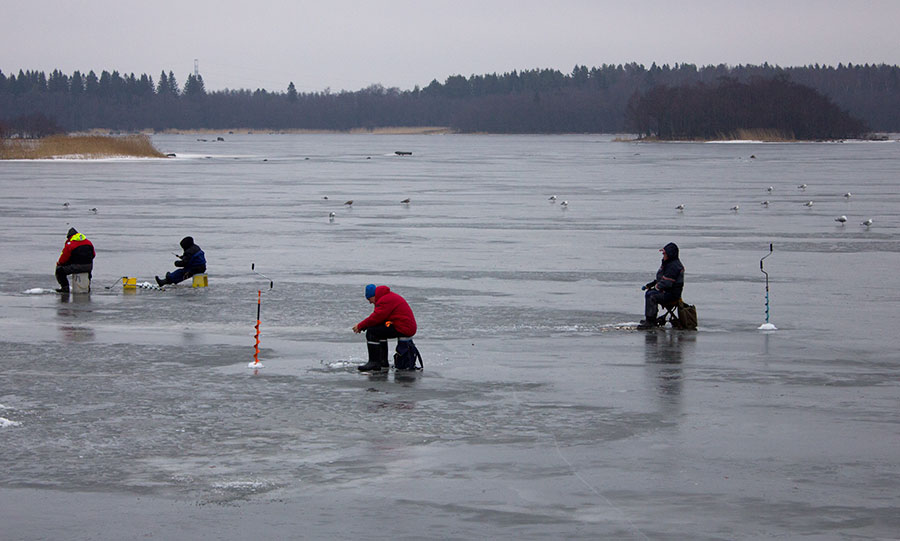 Norssipilkkijät Norssipilkkijät