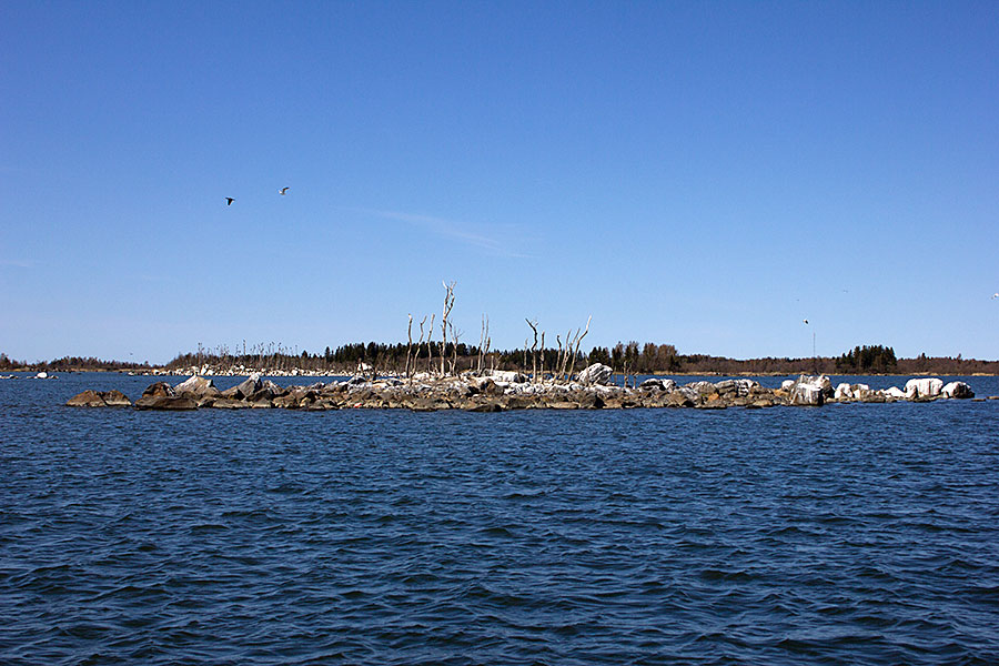 Keskiluoto