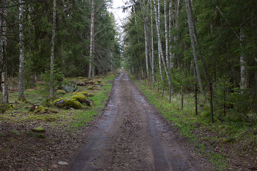 TIe kärkeen TIe kärkeen