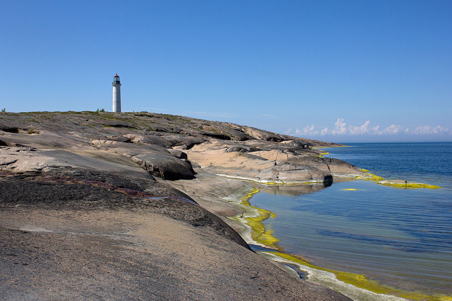 Sälskär Sälskär