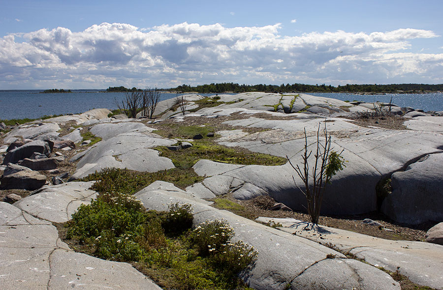 T, vanha ydinpaikka T, vanha ydinpaikka