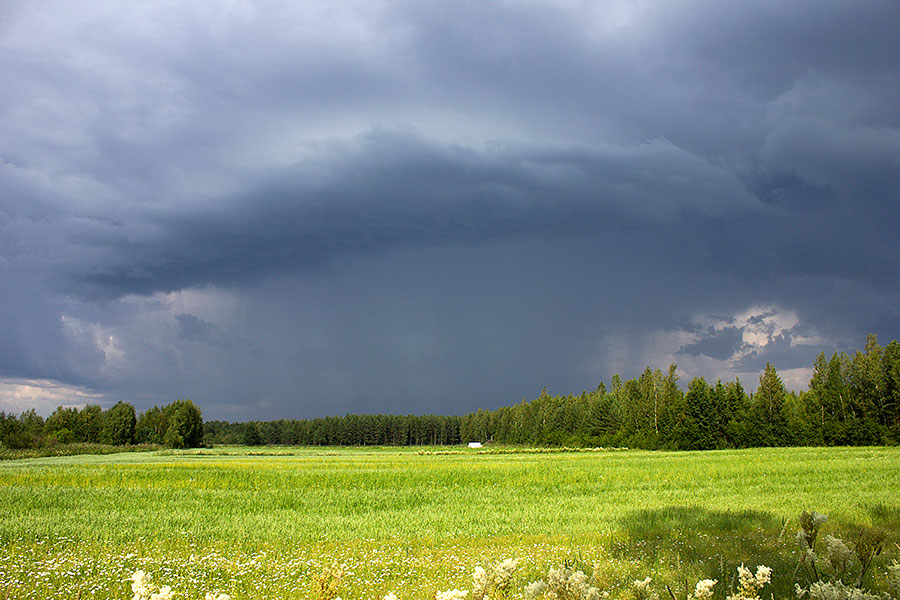 Vyörypilvi, Preiviiki Vyörypilvi, Preiviiki