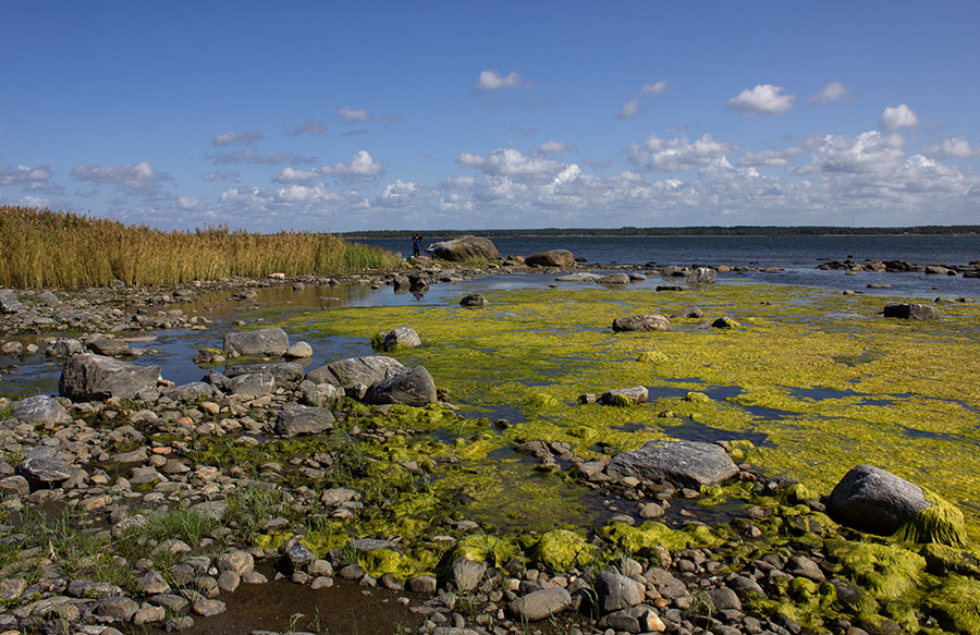 Lev�inen laguuni