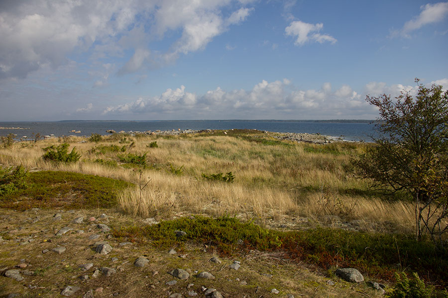 Pohjoiskärki Pohjoiskärki